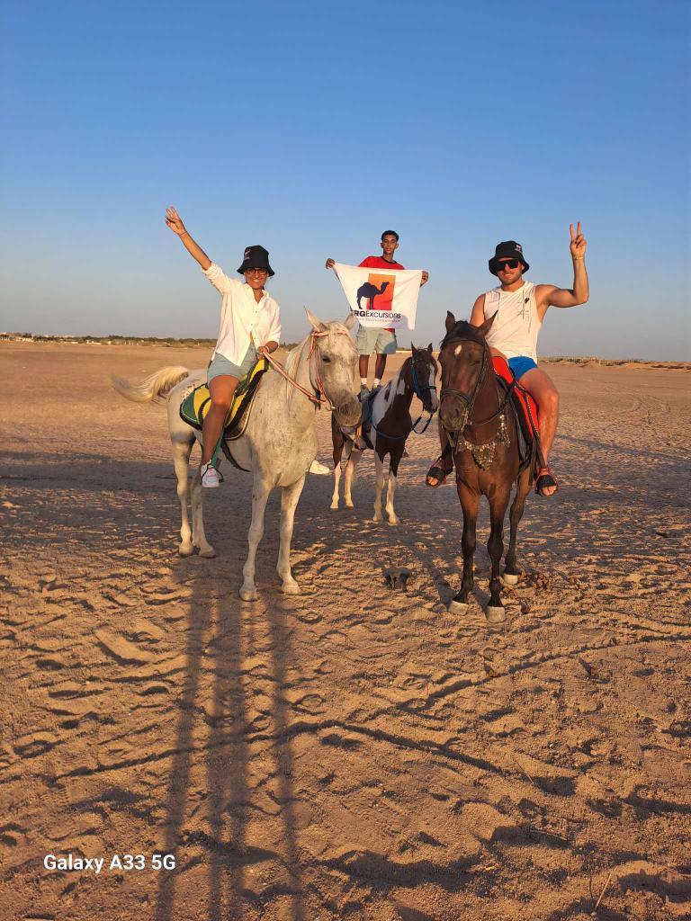 رحلات الخيل في الغردقة 1