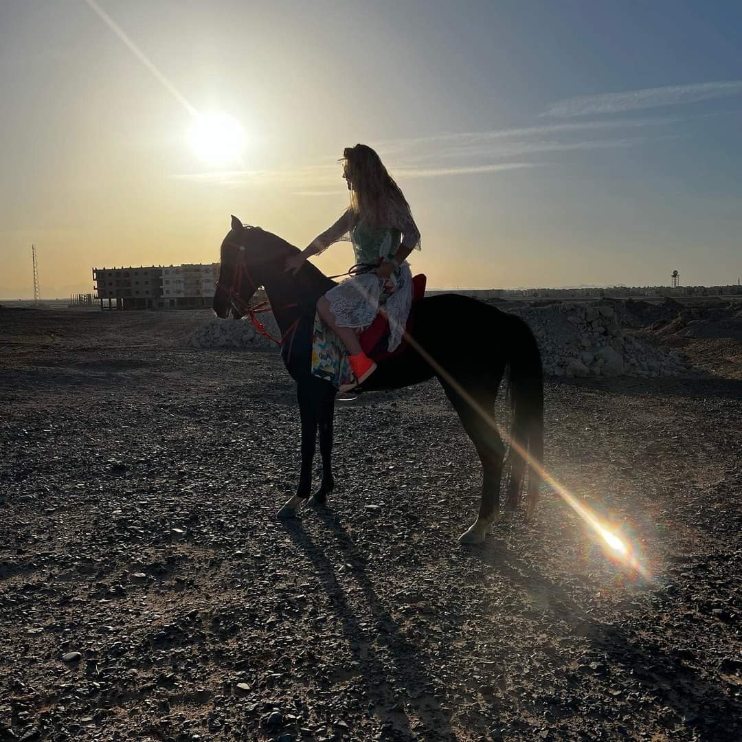 رحلات الخيل في الغردقة 11