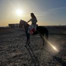 رحلة الخيل - رحلتي الغردقة