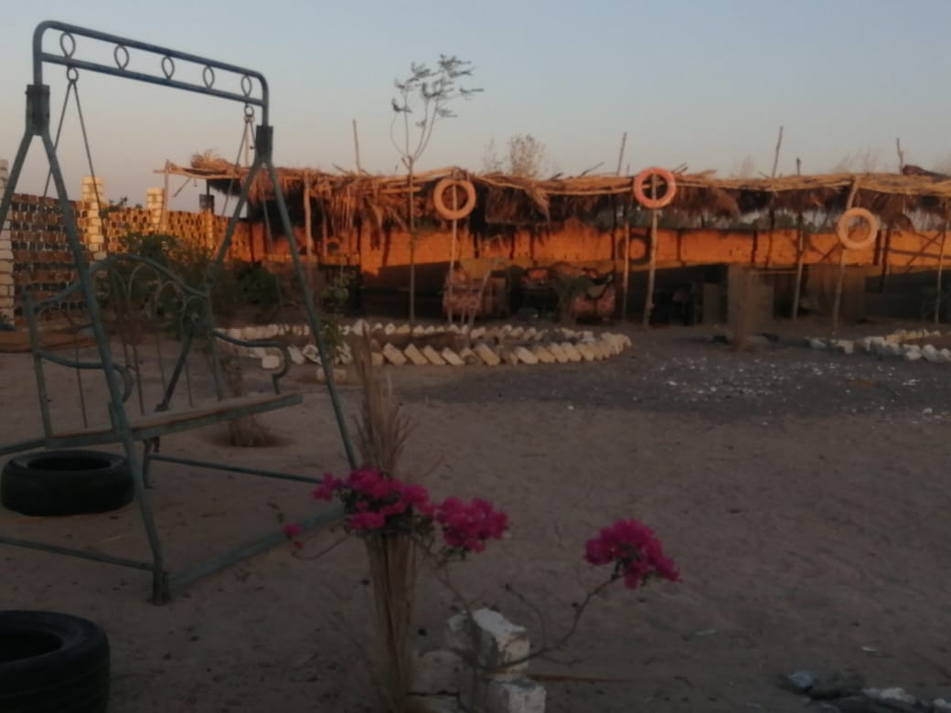 رحلات الخيل في الغردقة 2