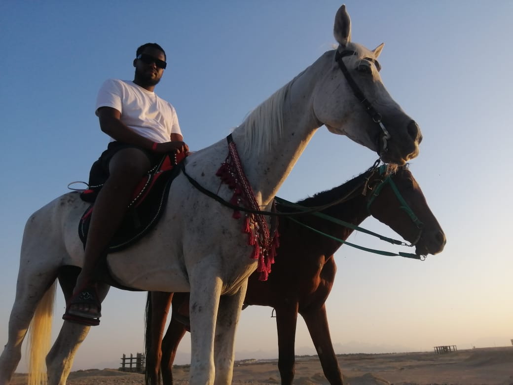 رحلات الخيل في الغردقة 3