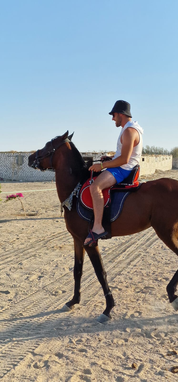 رحلات الخيل في الغردقة 4