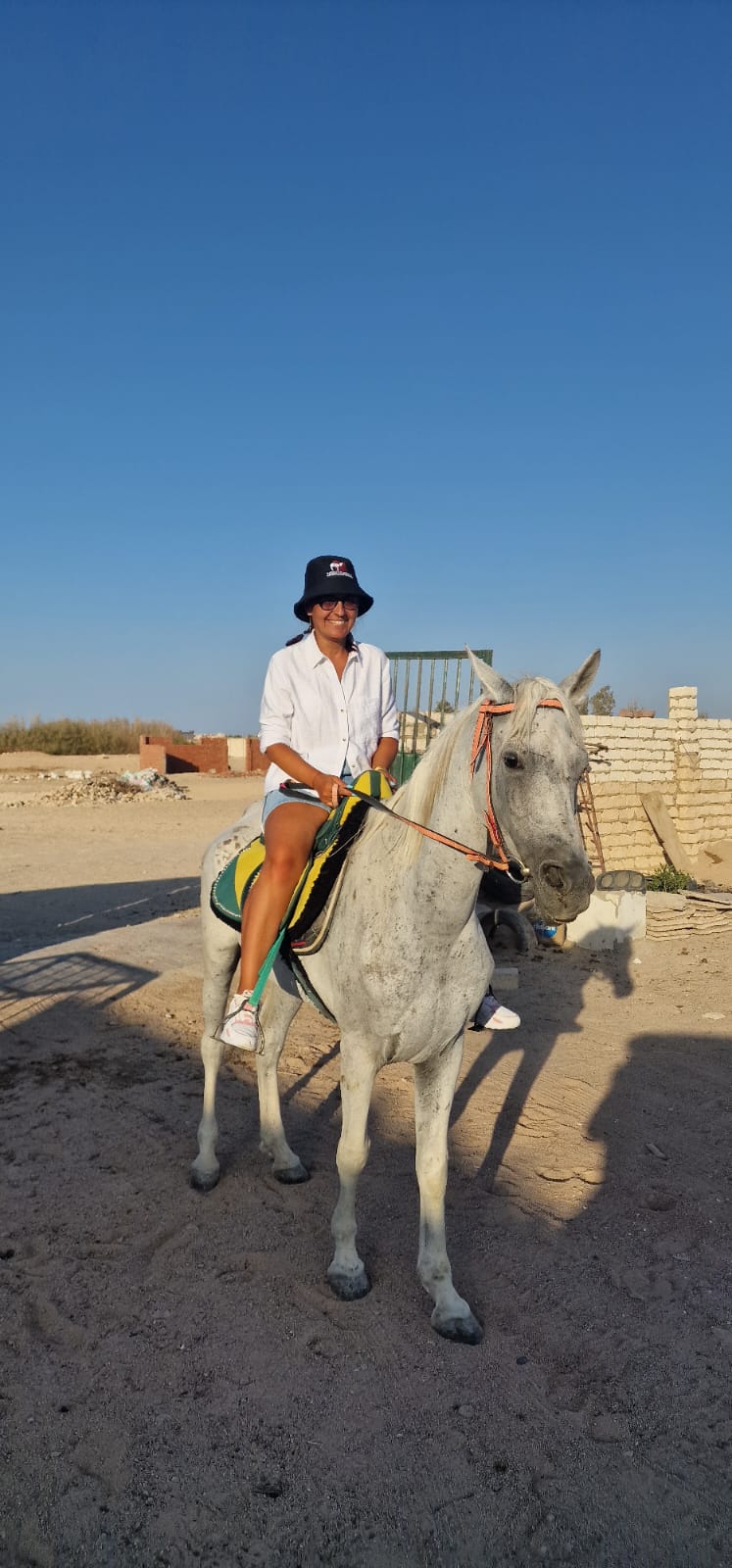 رحلات الخيل في الغردقة 5