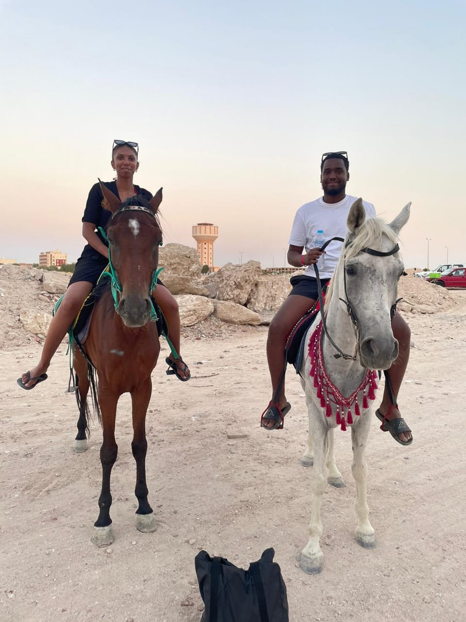 رحلات الخيل في الغردقة 8