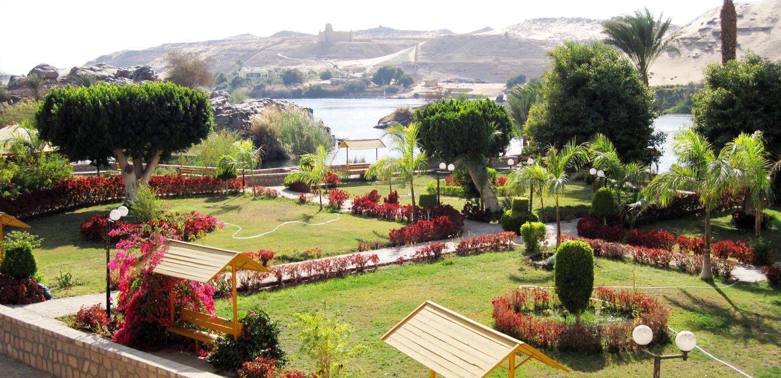 جزيرة النباتات 1