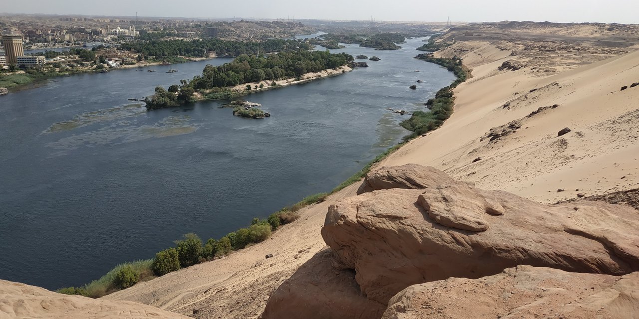 جزيرة النباتات 2