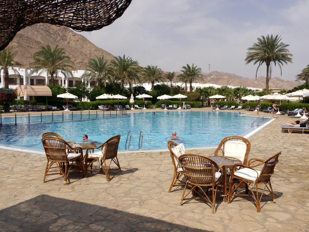 هابي لايف دهب 16