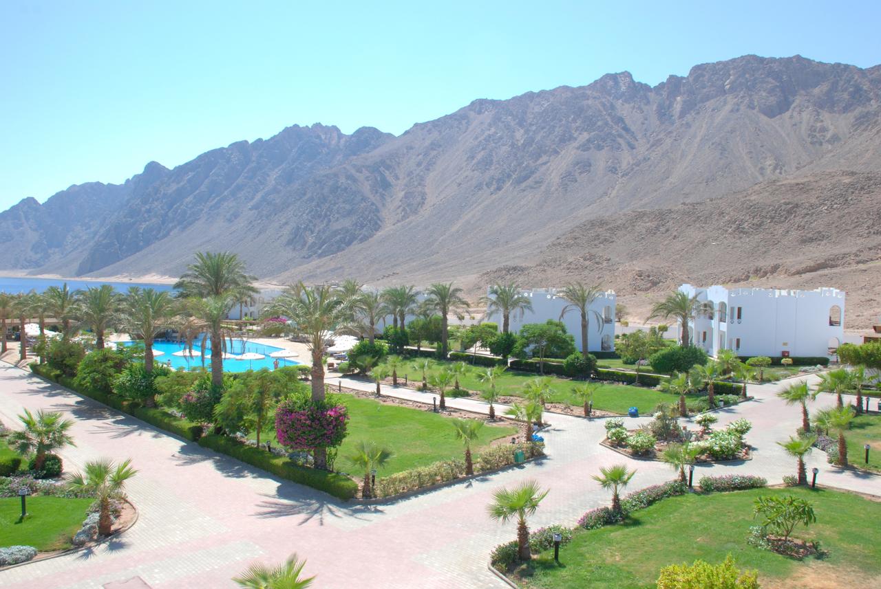 هابي لايف دهب 2