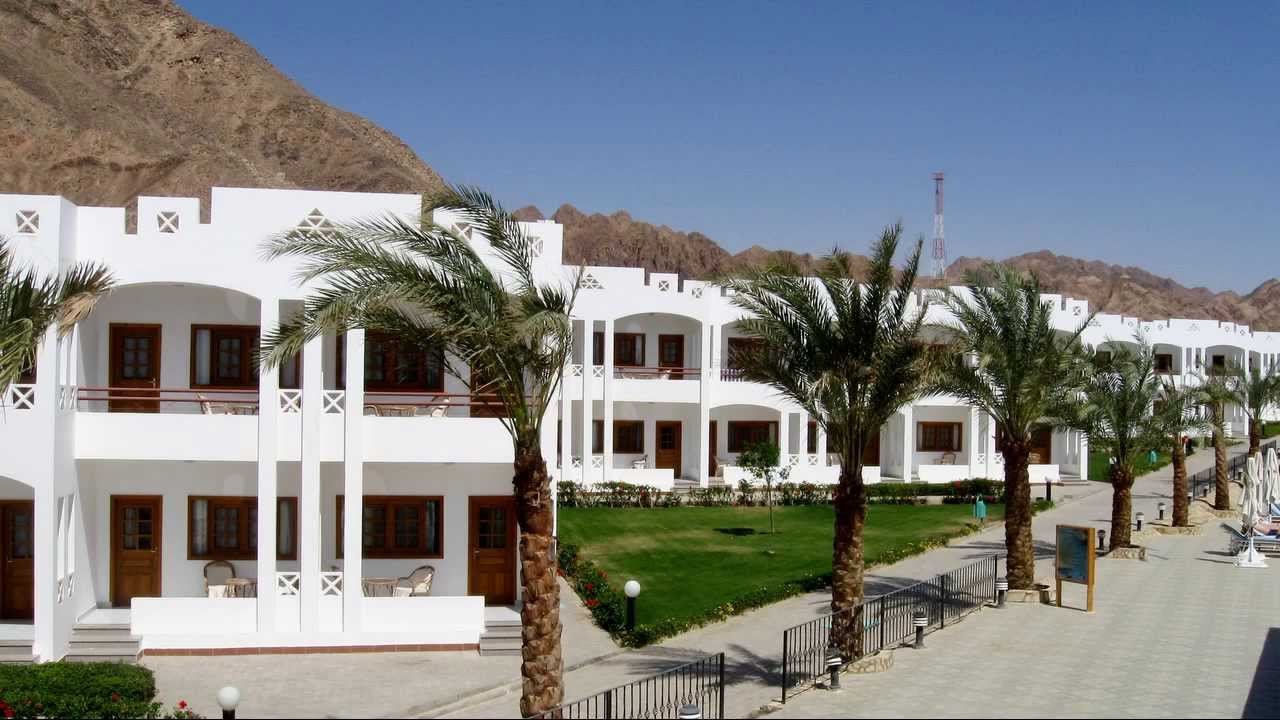 هابي لايف دهب 4