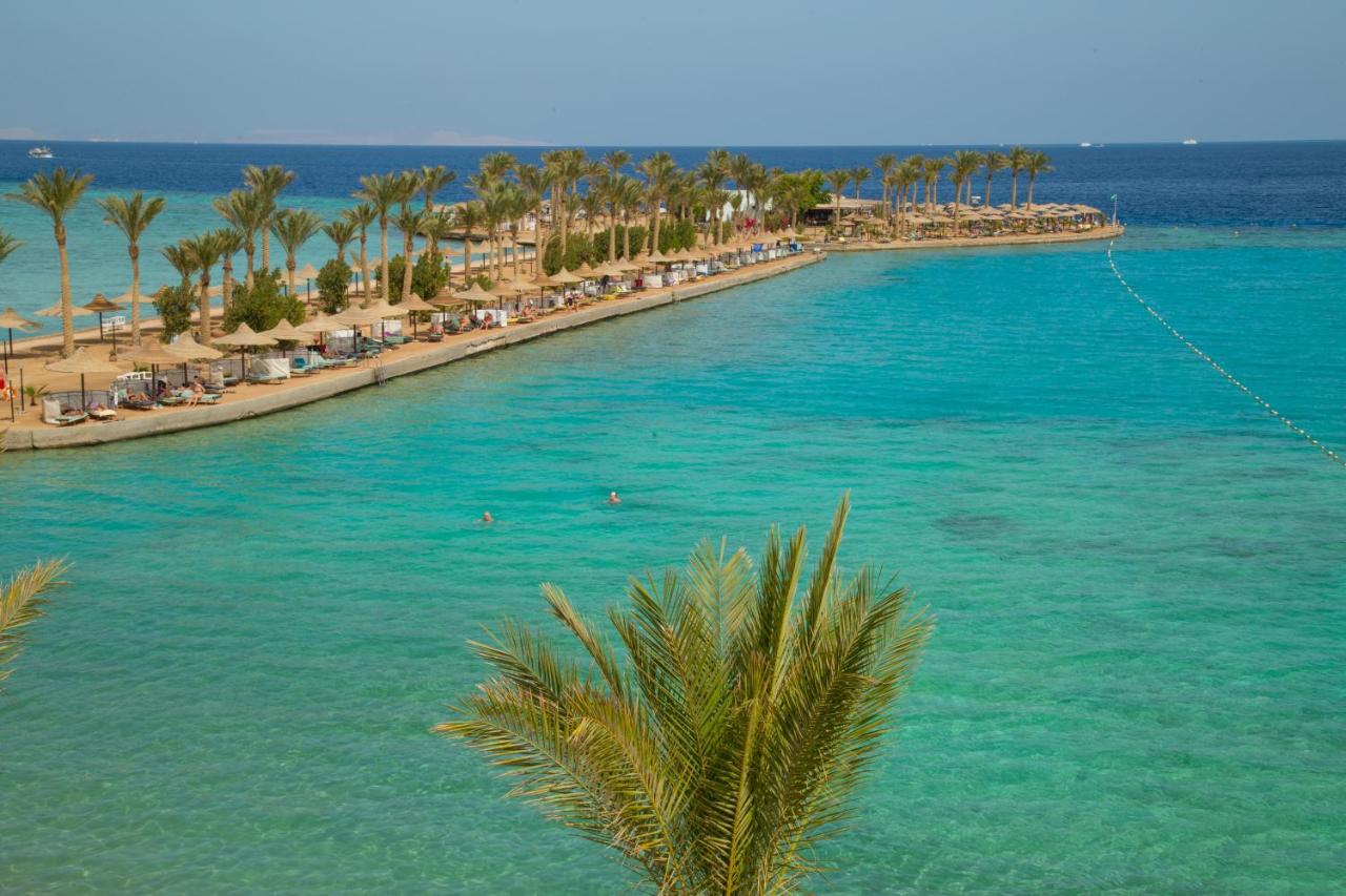 أرابيا الغردقة 2