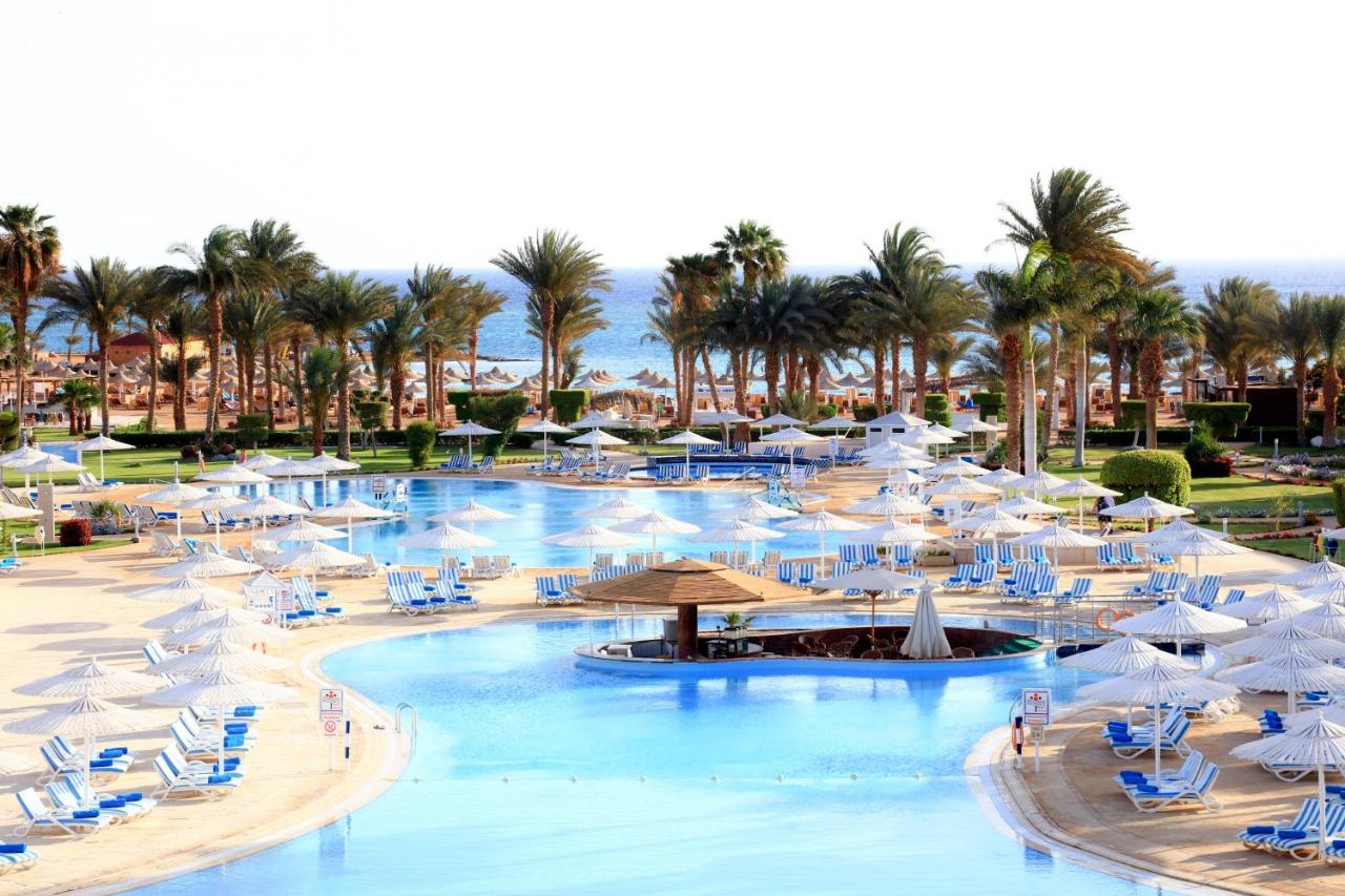 لابراندا رويال مكادي 10