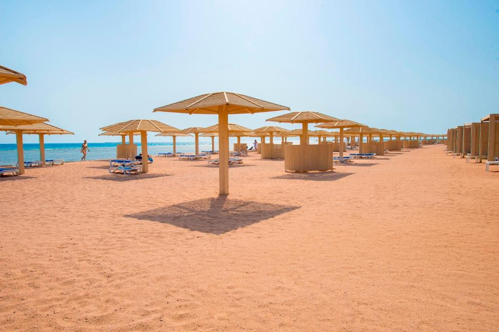 بريمير لوريف 14