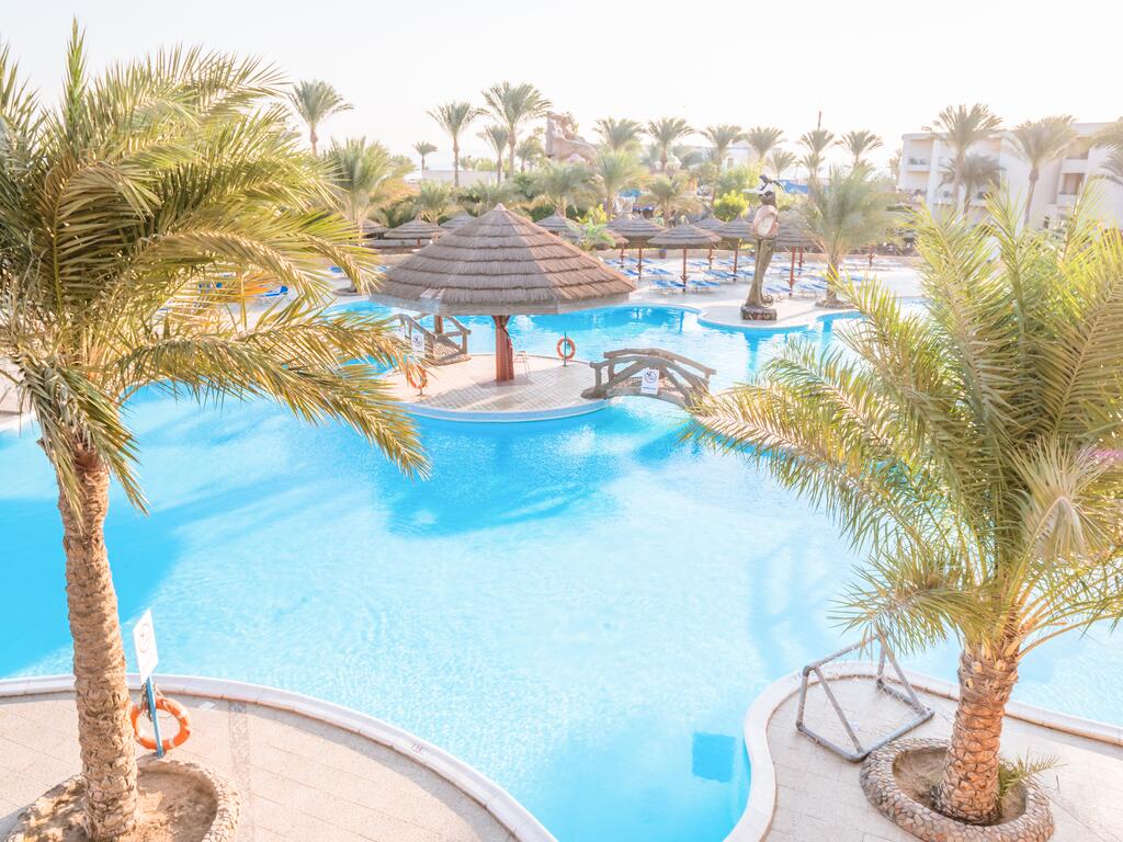 سيجال الغردقة 18