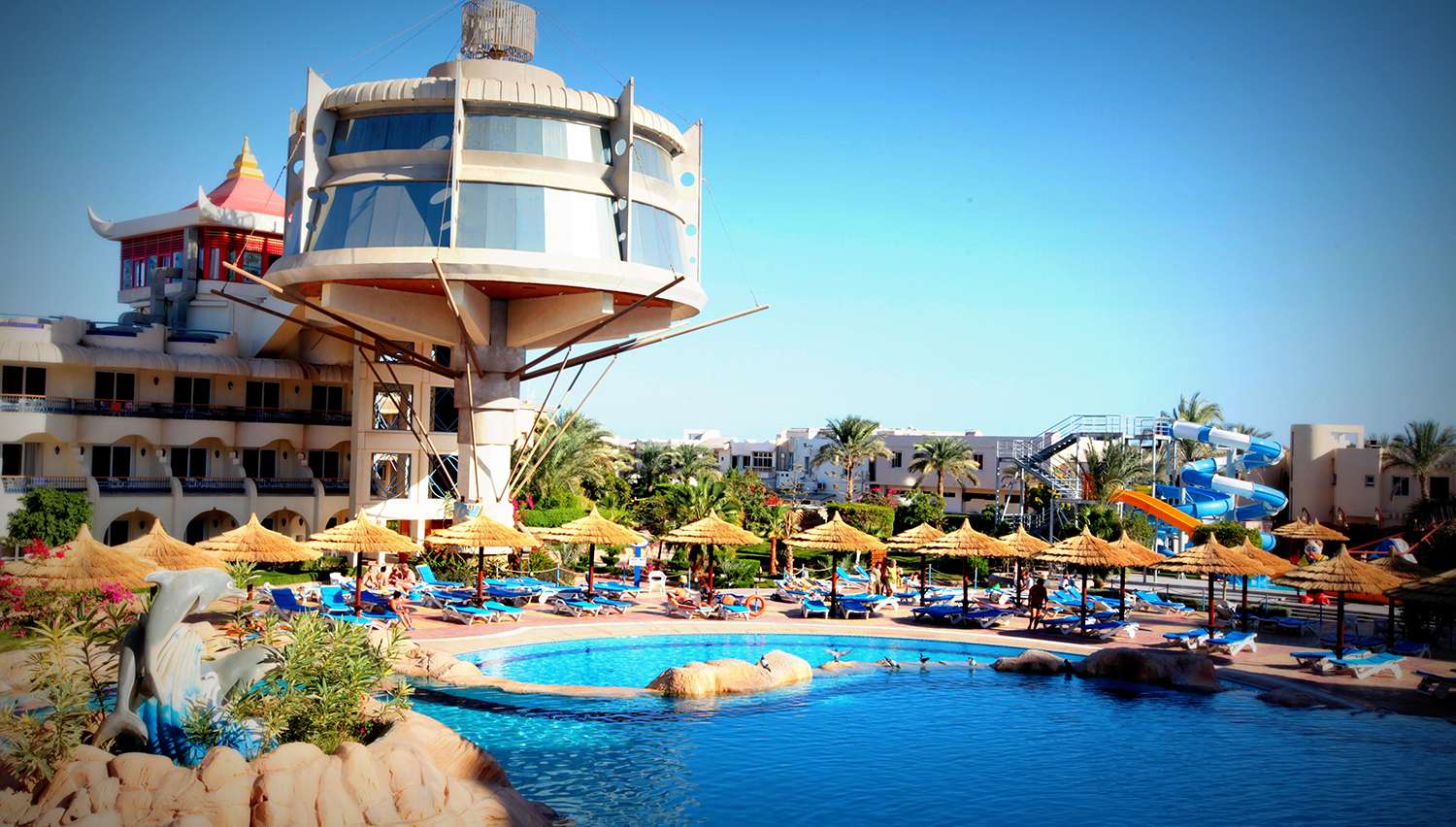 سيجال الغردقة 8