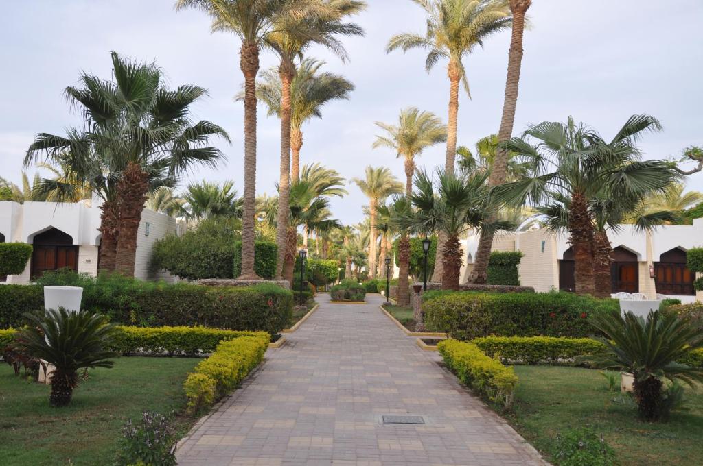 فندق هاواي ريجينا 16